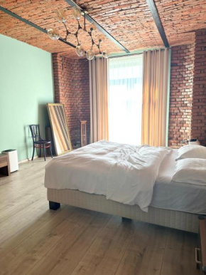 Warthe House Apartament cu gradina in Brasov - B House